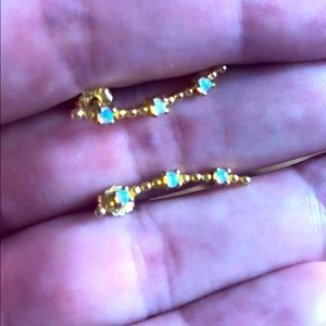 🛑sold🛑Opal earrings